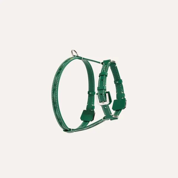 Edmond Harness PM