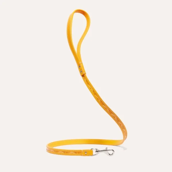Edmond Leash