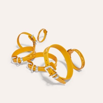 COLLIER EDMOND Yellow