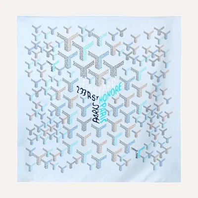 FOULARD N1 2026 Multicoloured Polar Blue