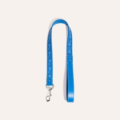 LAISSE FRANKLIN 80  Sky Blue