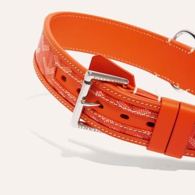 COLLIER FRANKLIN Orange