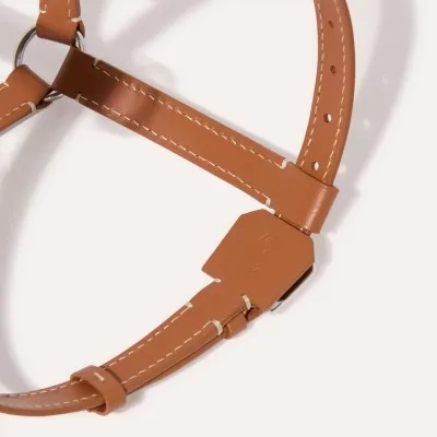 Edmond Harness PM - Black & Tan