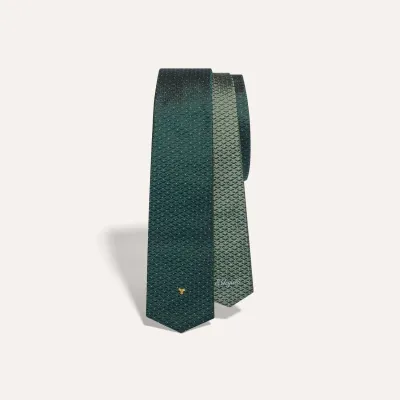Eldredge Bicolore tie - Green