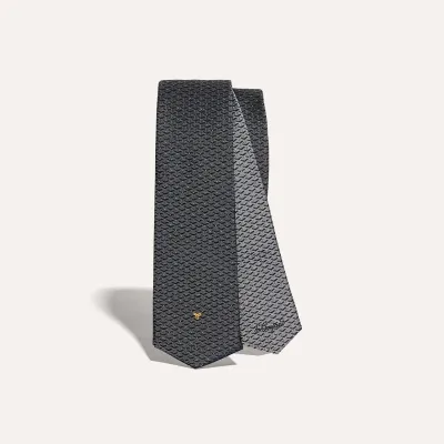 Eldredge 雙色領帶 - 