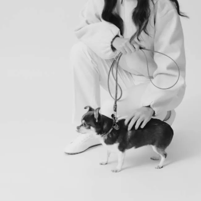 video オスカー・リーシュ