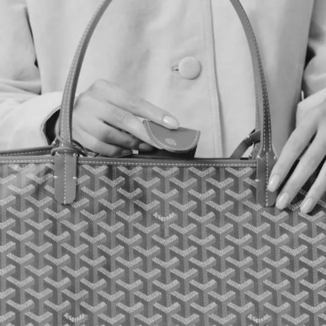 video サン・ルイGM バッグ