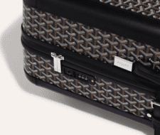 Goyard Document Bag