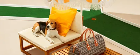 PET CHIC